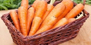 Морковь и ее полезные свойства
