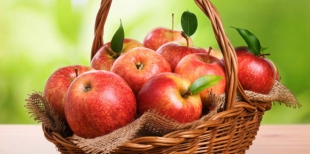Можно ли есть яблоки до Яблочного Спаса