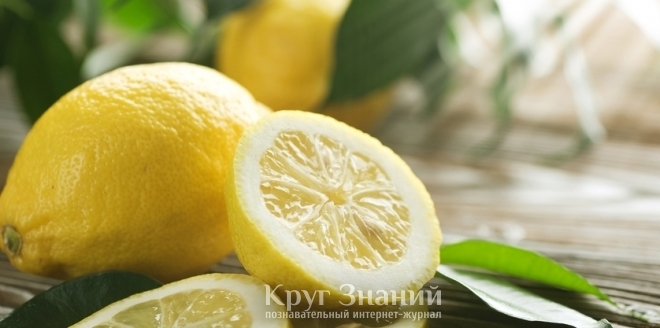 Лимон и его полезные свойства