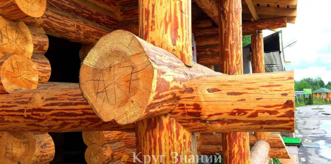 Область применения древесины сибирской лиственницы