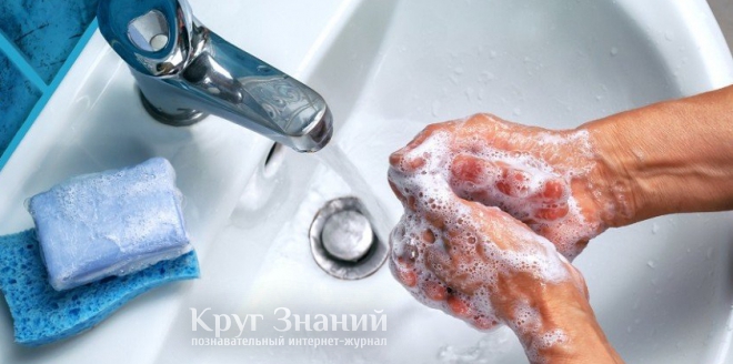Как отмыть руки от шелковицы