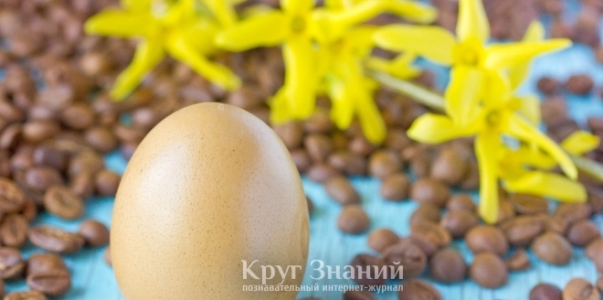 Как покрасить яйца в коричневый цвет с помощью кофе